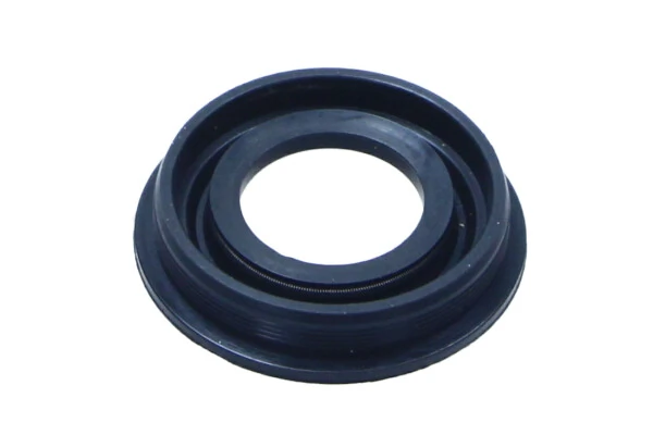 Seal, injector holder