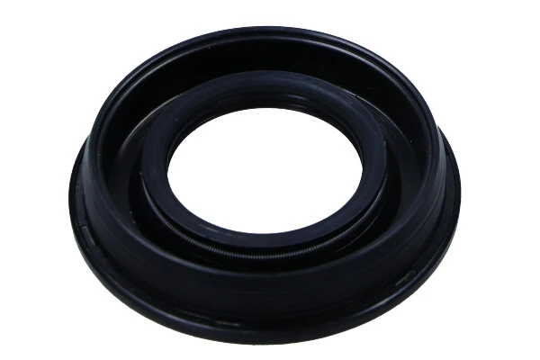 Seal, injector holder