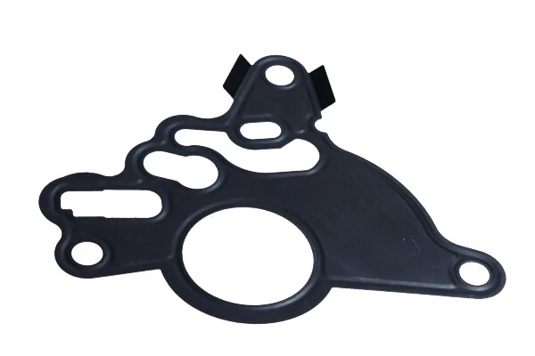 Gasket, vacuum pump