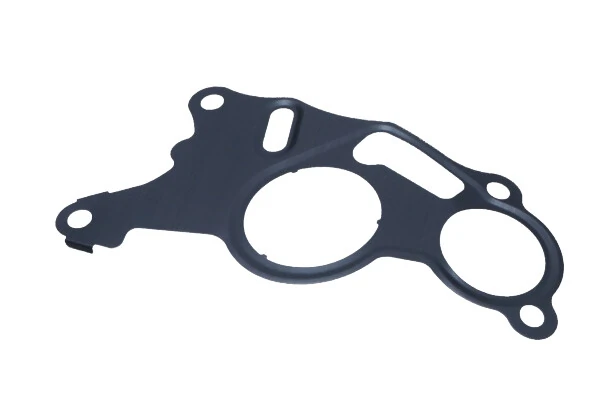 Gasket, vacuum pump