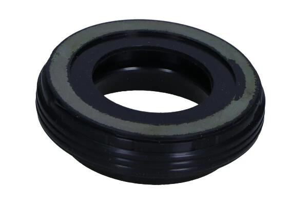 Seal, injector holder
