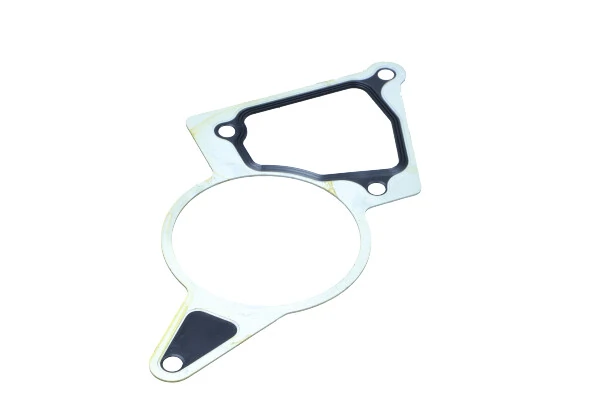 Gasket, vacuum pump