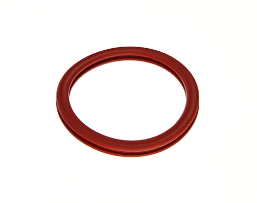 Gasket, throttle body