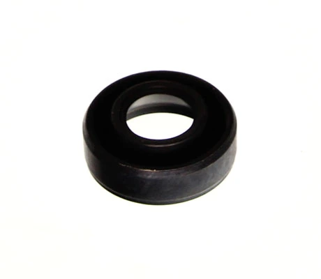 Seal Ring, injector