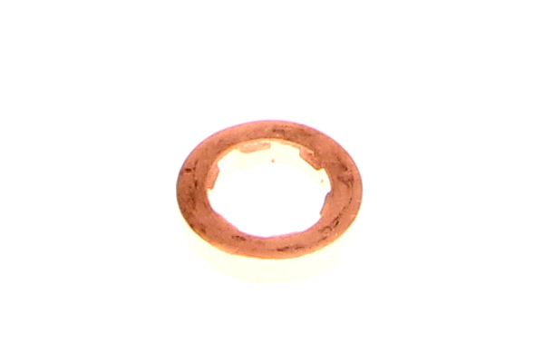 Seal Ring, injector