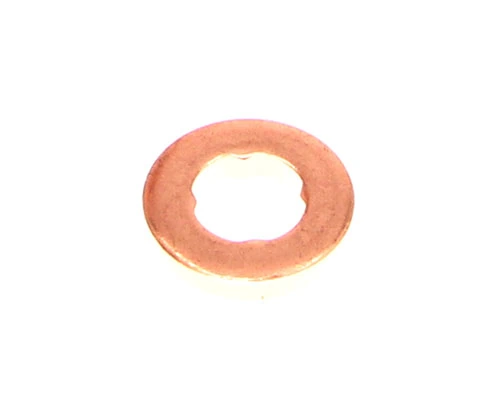 Seal Ring, injector