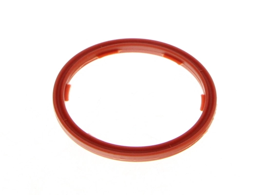 Seal Ring, engine oil level sensor