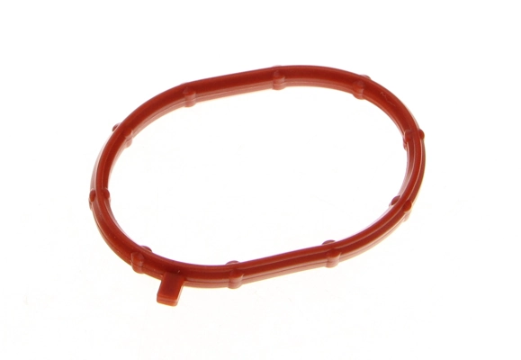 Seal Ring, charger