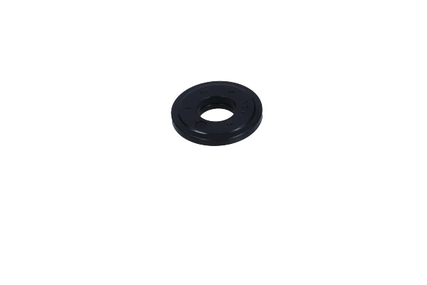 Rolling Bearing, suspension strut support mount