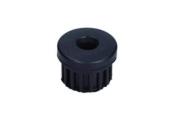 Bushing, leaf spring