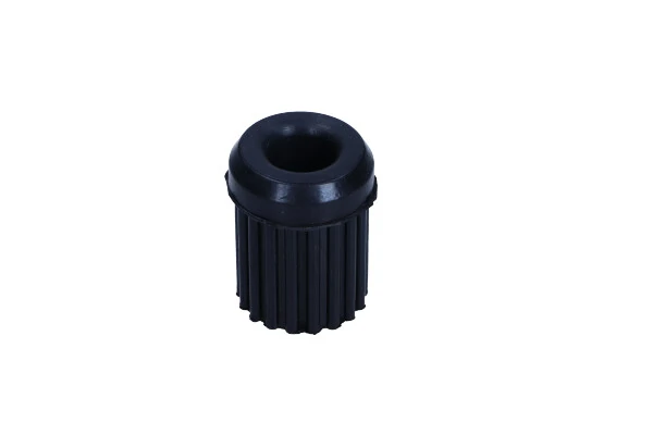 Bushing, leaf spring