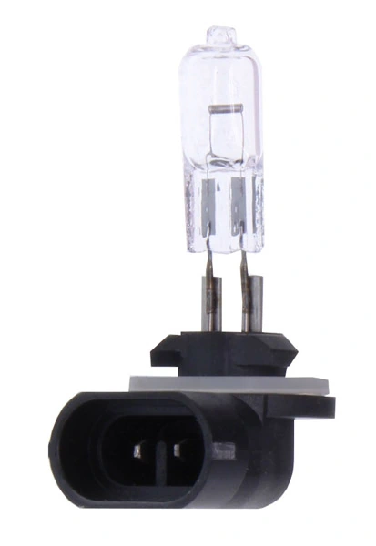 Bulb, headlight