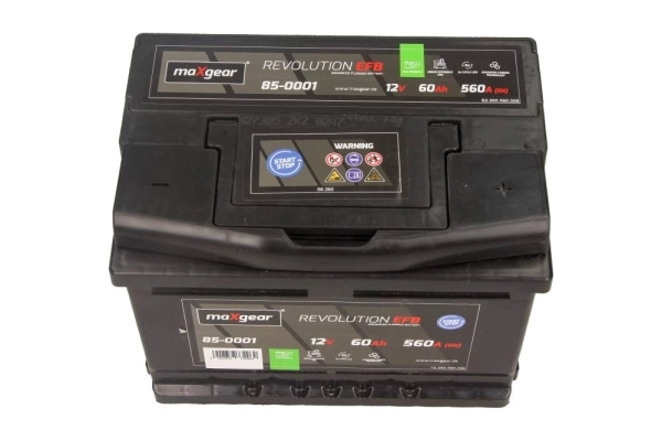 Starter Battery