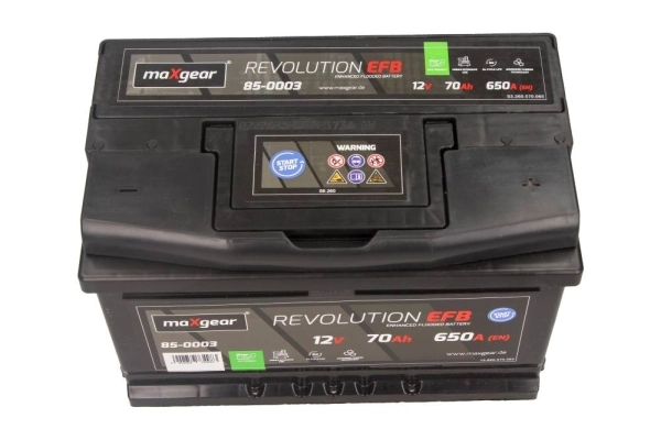 Starter Battery