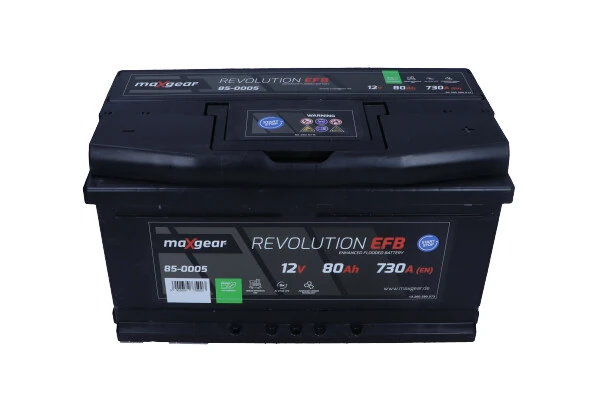 Starter Battery