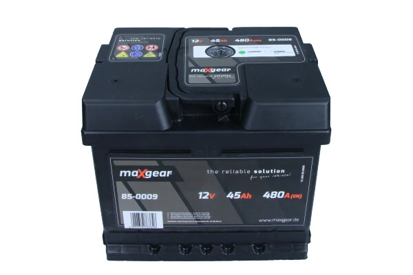 Starter Battery