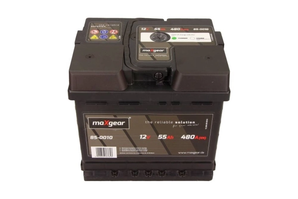 Starter Battery