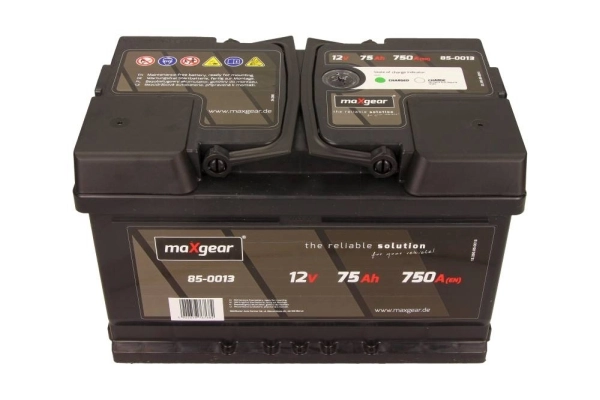 Starter Battery