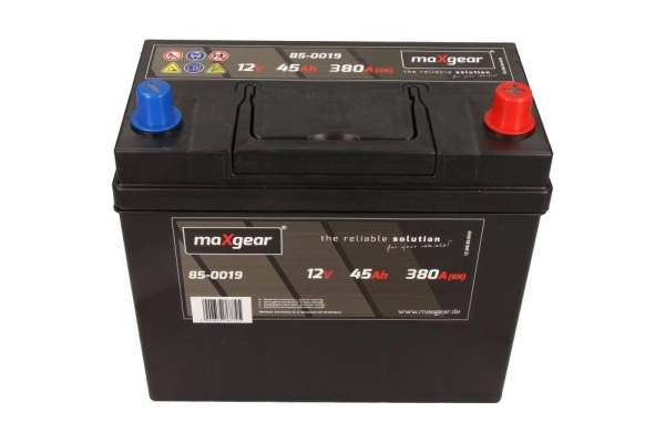 Starter Battery