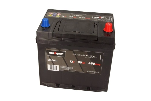 Starter Battery