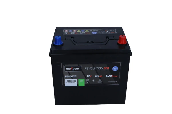 Starter Battery