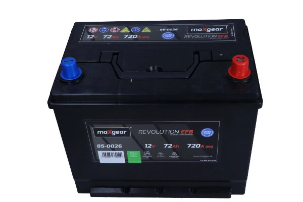 Starter Battery
