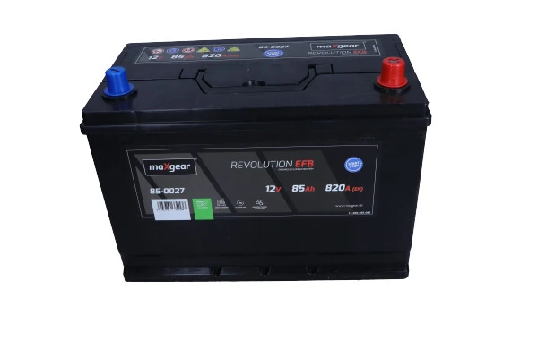 Starter Battery