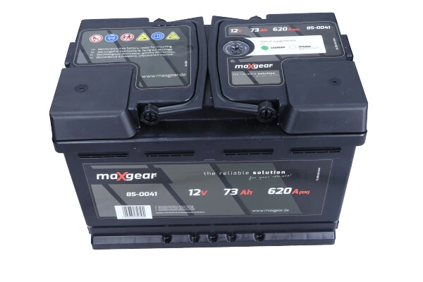 Starter Battery