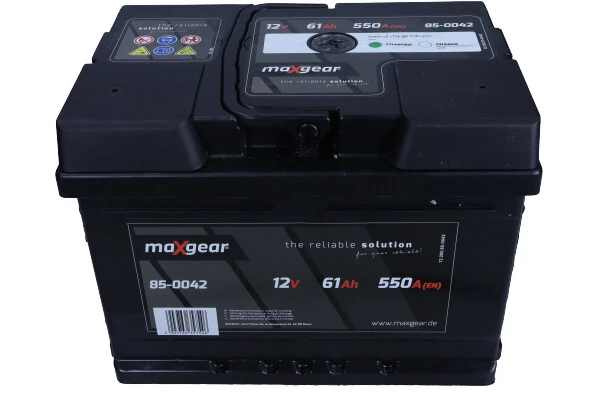 Starter Battery