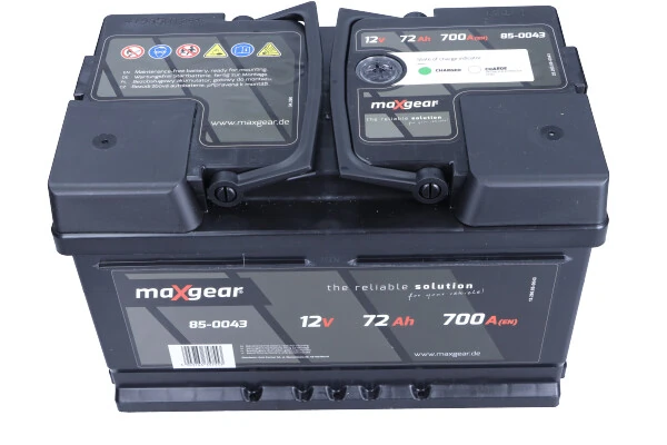 Starter Battery