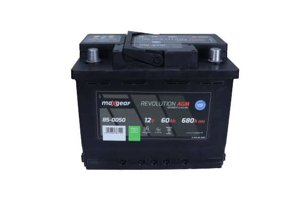 Starter Battery