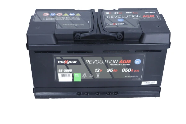 Starter Battery