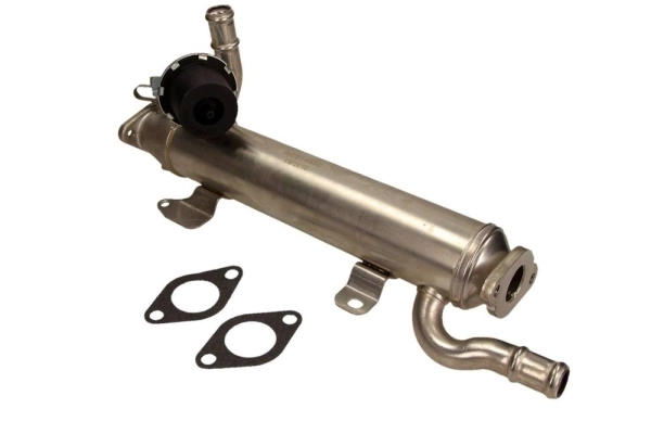 EGR Module