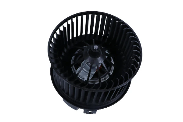 Interior Blower