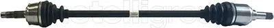 Drive Shaft