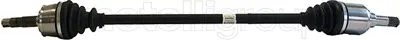 Drive Shaft