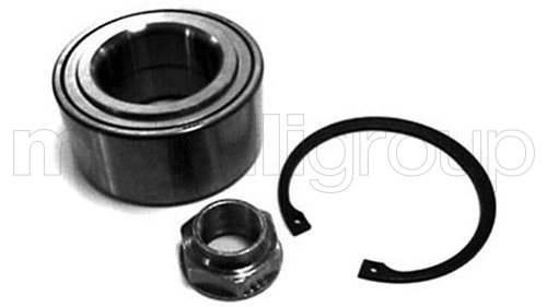 Wheel Bearing Kit