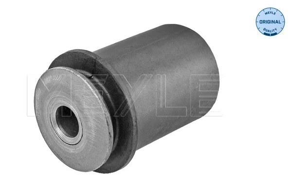 Mounting, control/trailing arm
