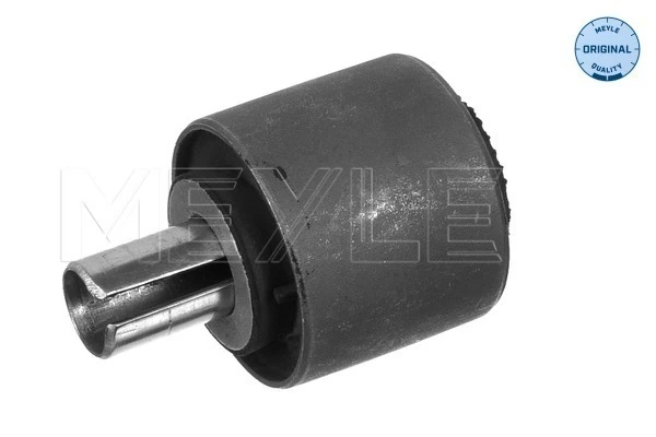 Mounting, axle strut