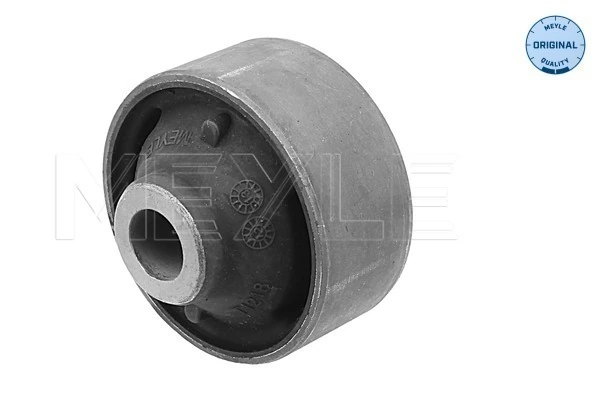 Mounting, control/trailing arm