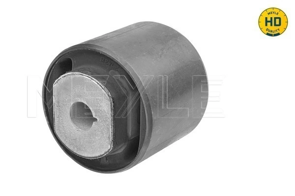 Mounting, control/trailing arm