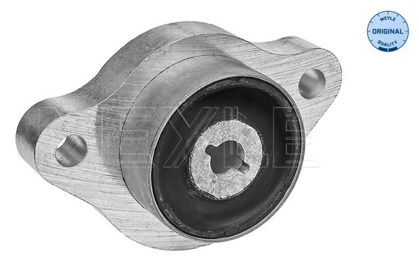 Mounting, control/trailing arm
