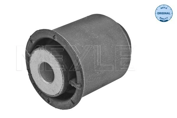 Mounting, control/trailing arm