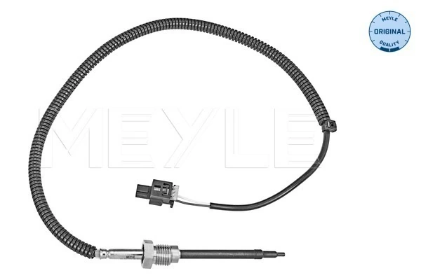 Sensor, exhaust gas temperature