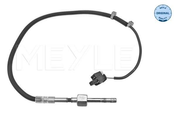 Sensor, exhaust gas temperature
