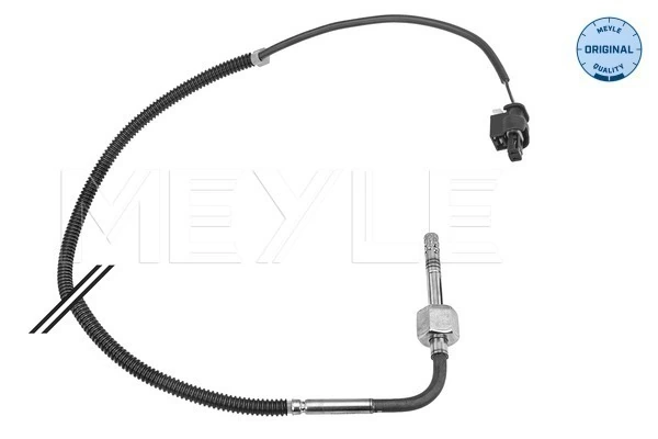 Sensor, exhaust gas temperature