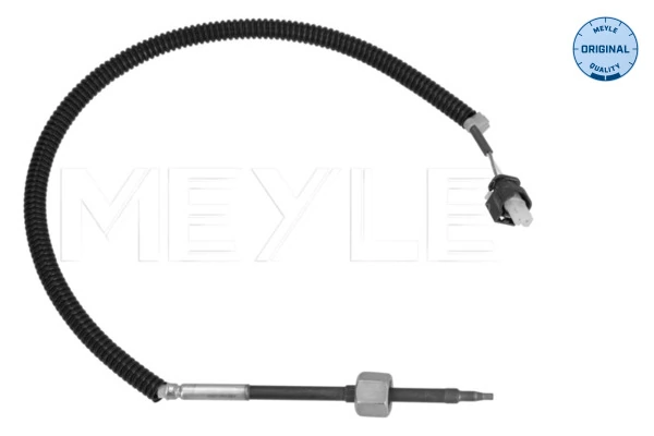 Sensor, exhaust gas temperature