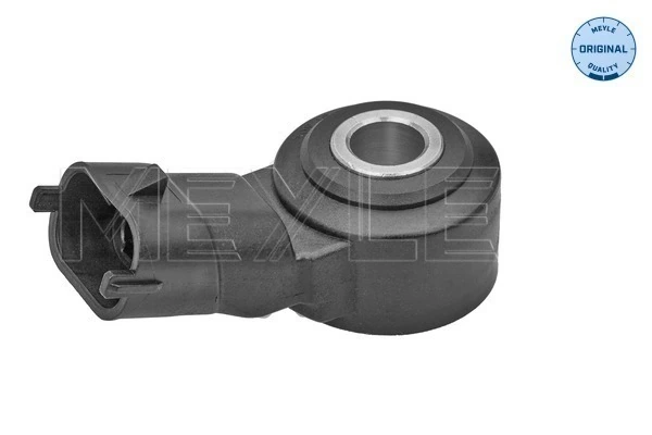 Knock Sensor