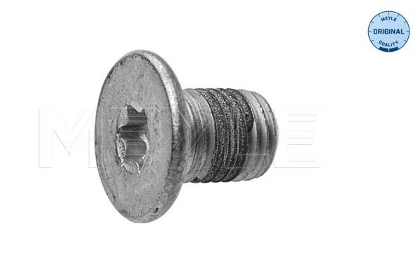 Bolt, brake disc