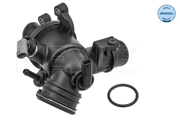 Thermostat, coolant